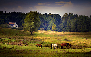 Gospodarstwo agroturystyczne z okolic Młynar wyróżnione przez Polską Organizację Turystyczną
